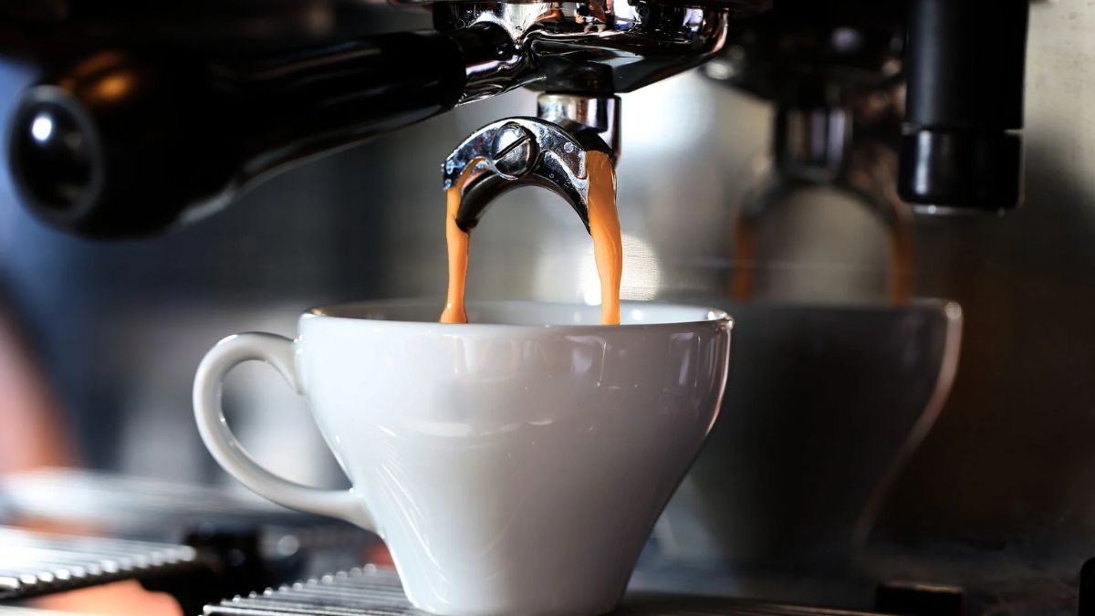 Barista
