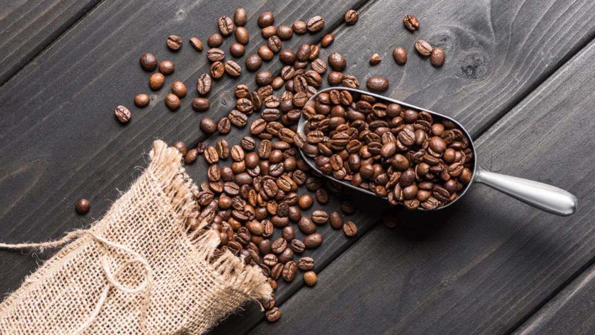 Coffee Bean