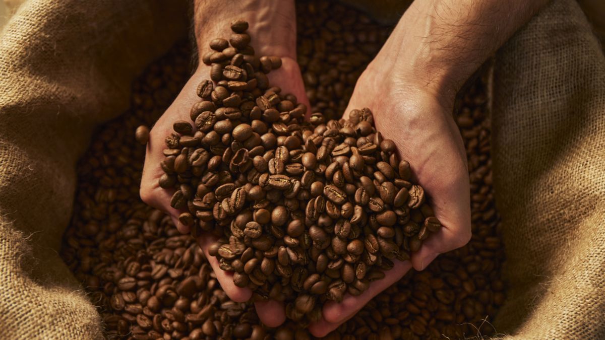 Coffee